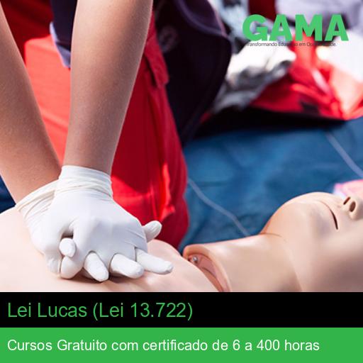 Lei Lucas (Lei 13.722)